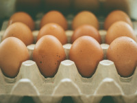 Dioxins in eggs