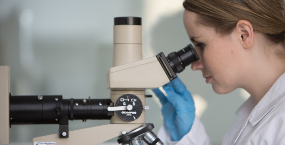 Reaction to Covid-19:  ALS Laboratories provide full services without any restrictions