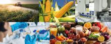 Pesticide testing